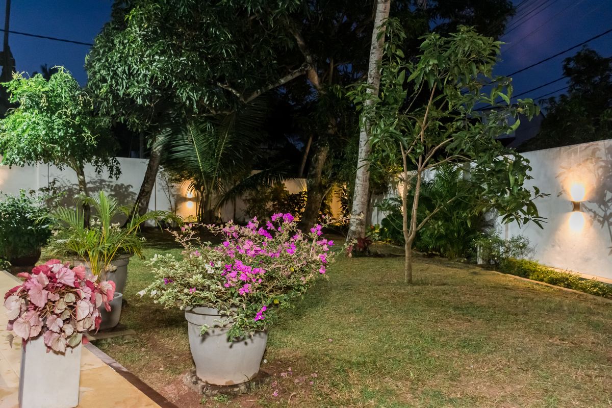Villa garden